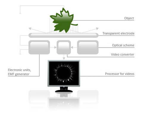 Gas Discharge Visualization Method